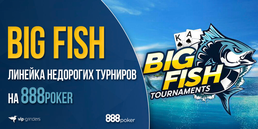 888big fish news banner